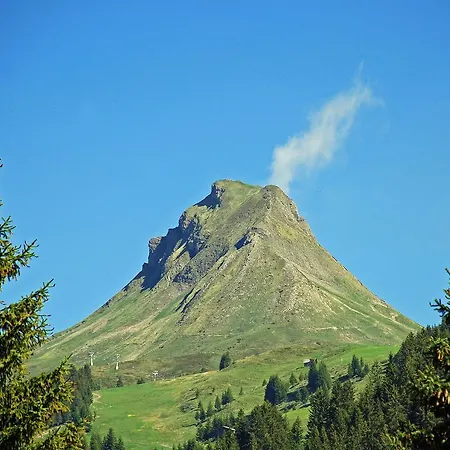 فندق Boutiquehotel Hohes Licht 4*
