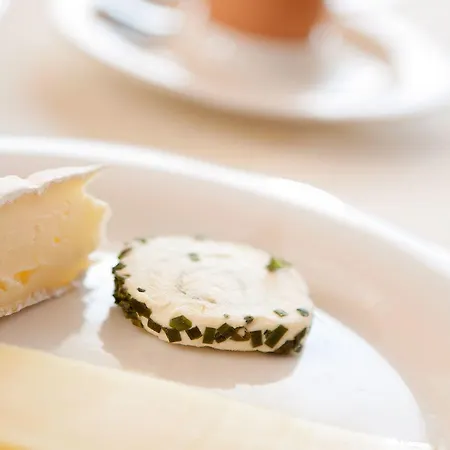 فندق Boutiquehotel Hohes Licht دامولس