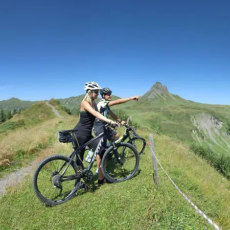 Boutiquehotel Hohes Licht מלון דאמואלס