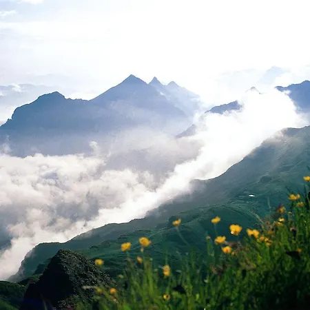 فندق Boutiquehotel Hohes Licht 4*