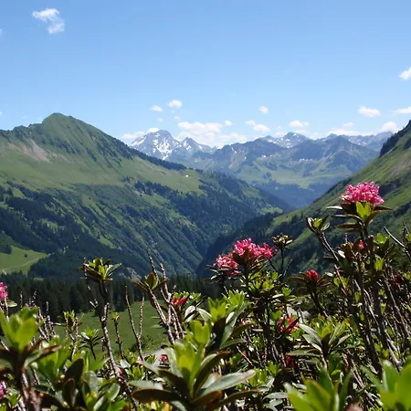 فندق Boutiquehotel Hohes Licht 4*