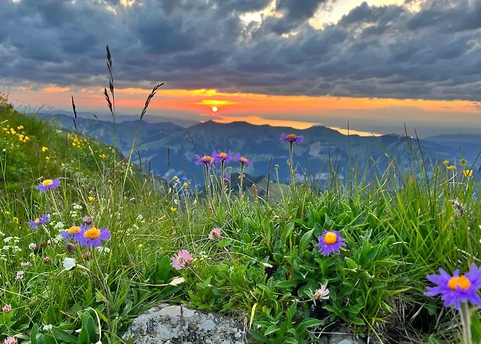 Boutiquehotel Hohes Licht Hotel 4*