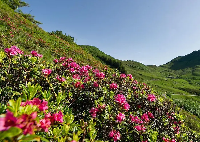 Boutiquehotel Hohes Licht 4* Damuels