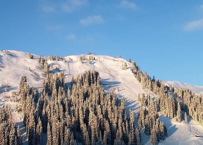 Boutiquehotel Hohes Licht Damuels