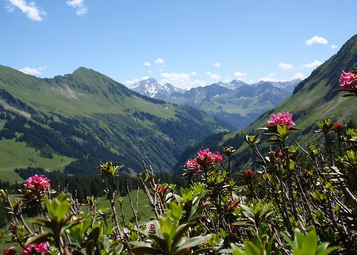 Hotel Boutiquehotel Hohes Licht 4*