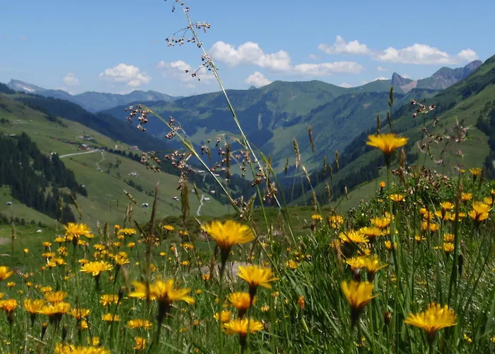 Boutiquehotel Hohes Licht Damuels