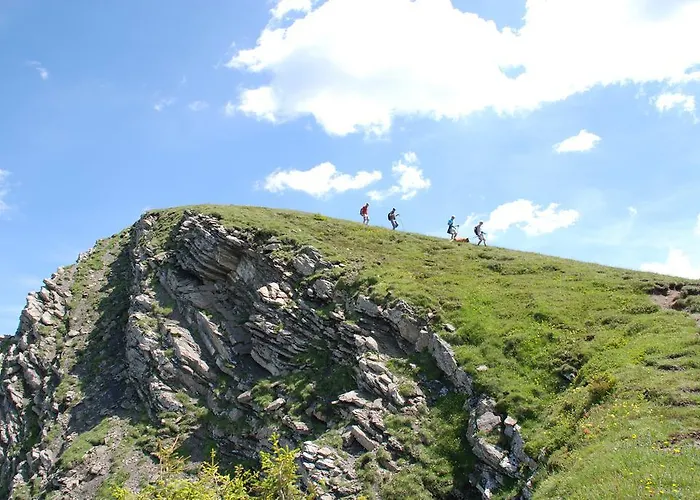 Hotel Boutiquehotel Hohes Licht 4*